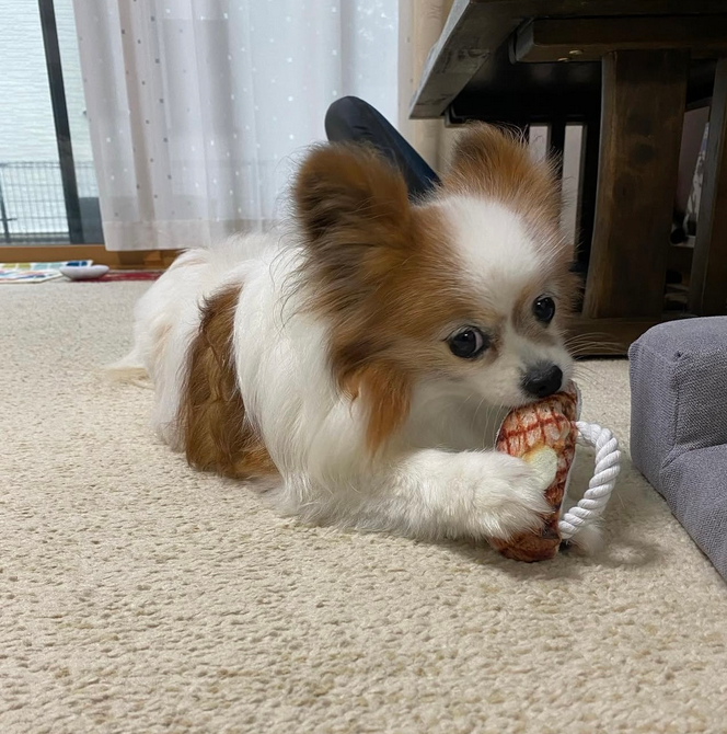 screenshot 2025 08 03 at 12.59.19