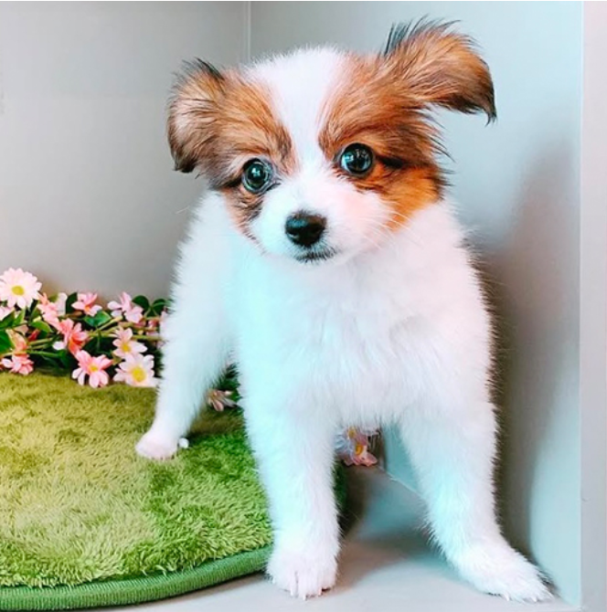 screenshot 2025 08 03 at 13.09.14