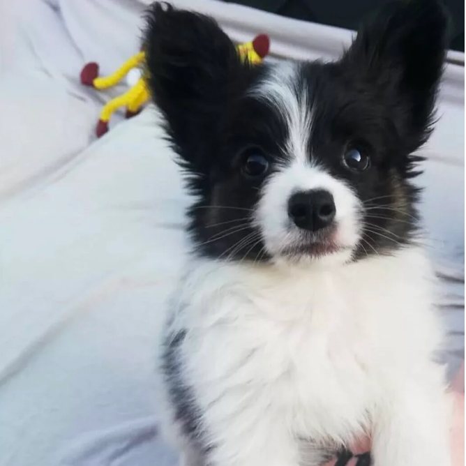 screenshot 2025 09 05 at 23.31.19