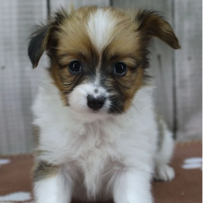 screenshot 2025 09 05 at 23.33.31