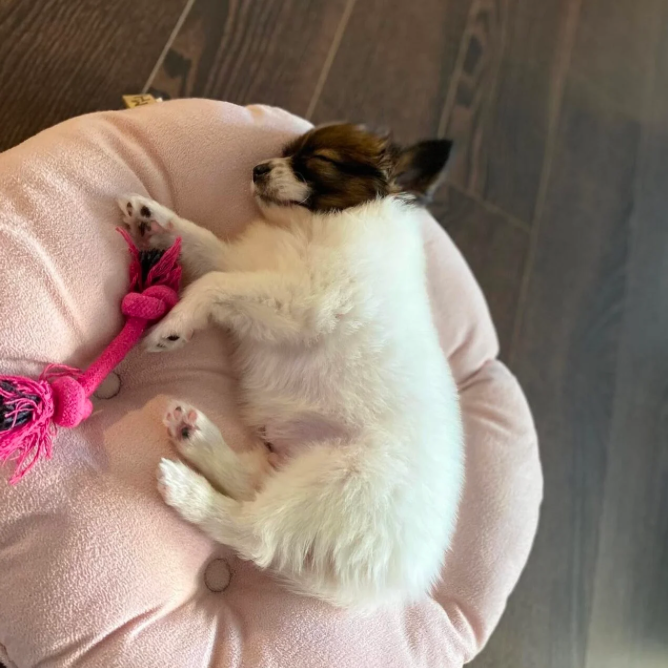 screenshot 2025 09 05 at 23.37.19